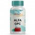 Alfa Gpc - 90 Doses