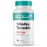 Tribullus Terrestris 500 MG com 90 Cápsulas