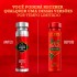 Desodorante Spray Antitranspirante Old Spice Aventura 150ml