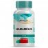 Hamamélis 300Mg 60 Cápsulas